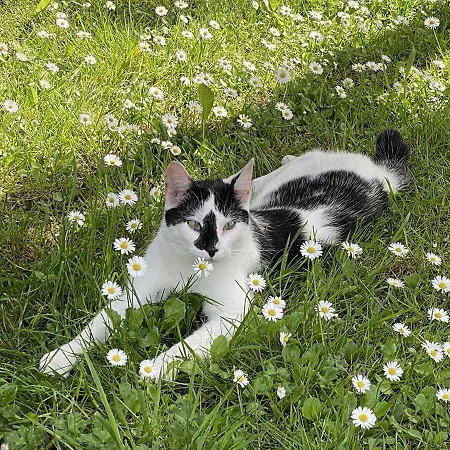 Sejour Detente Art Et Confort Decouverte Du Bessin Et Plages Dday