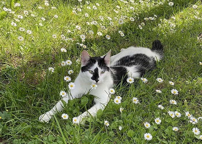 Sejour Detente Art Et Confort Decouverte Du Bessin Et Plages Dday